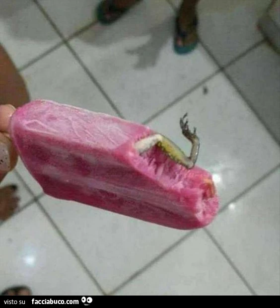 Vaccata