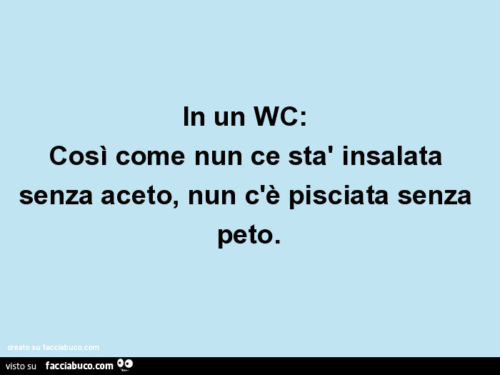 In un wc: così come nun ce stà insalata senza aceto, nun c'è pisciata senza peto
