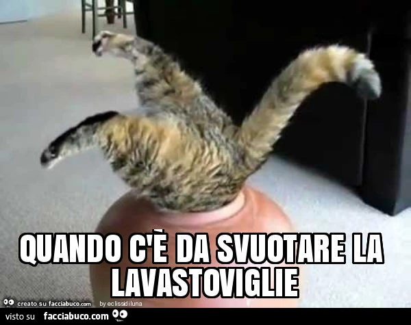Quando c'è da svuotare la lavastoviglie