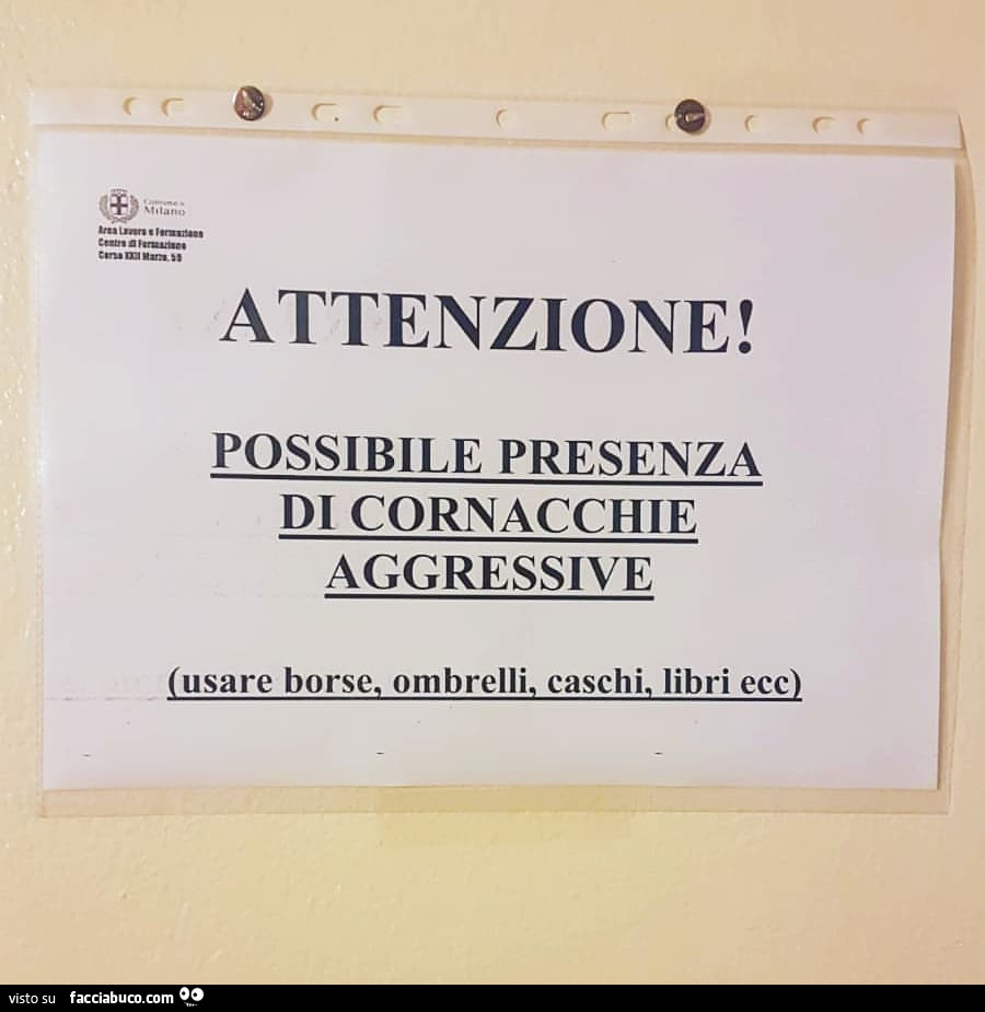 Attenzione! Possibile presenza di cornacchie aggressive, usare borse, ombrelli, caschi, libri ecc