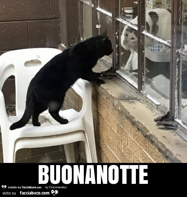 Buonanotte