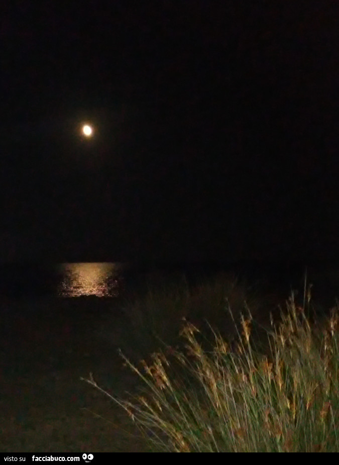 Luna sul mare di notte