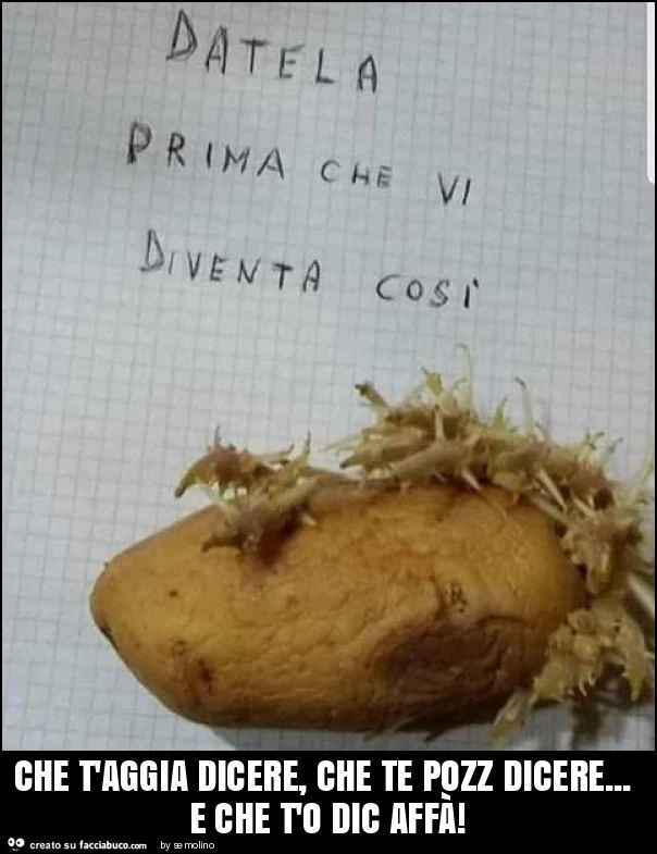 Che t'aggia dicere, che te pozz dicere&hellip; e che t'o dic affà