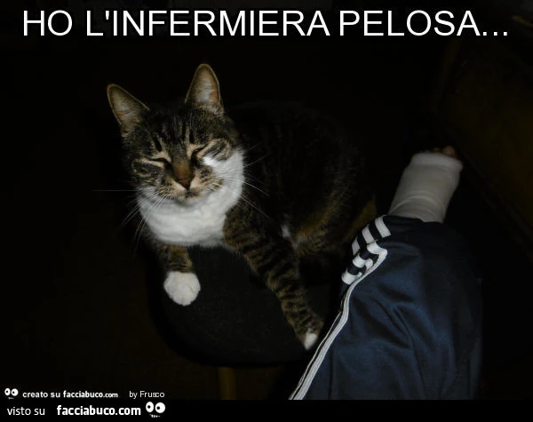 Ho l'infermiera pelosa