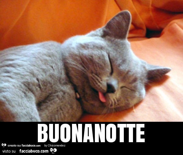 Buonanotte