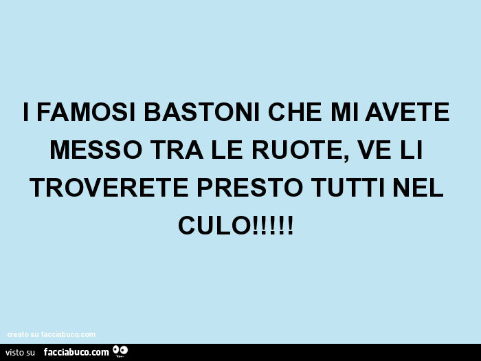 I famosi bastoni che mi avete messo tra le ruote, ve li troverete presto tutti nel culo