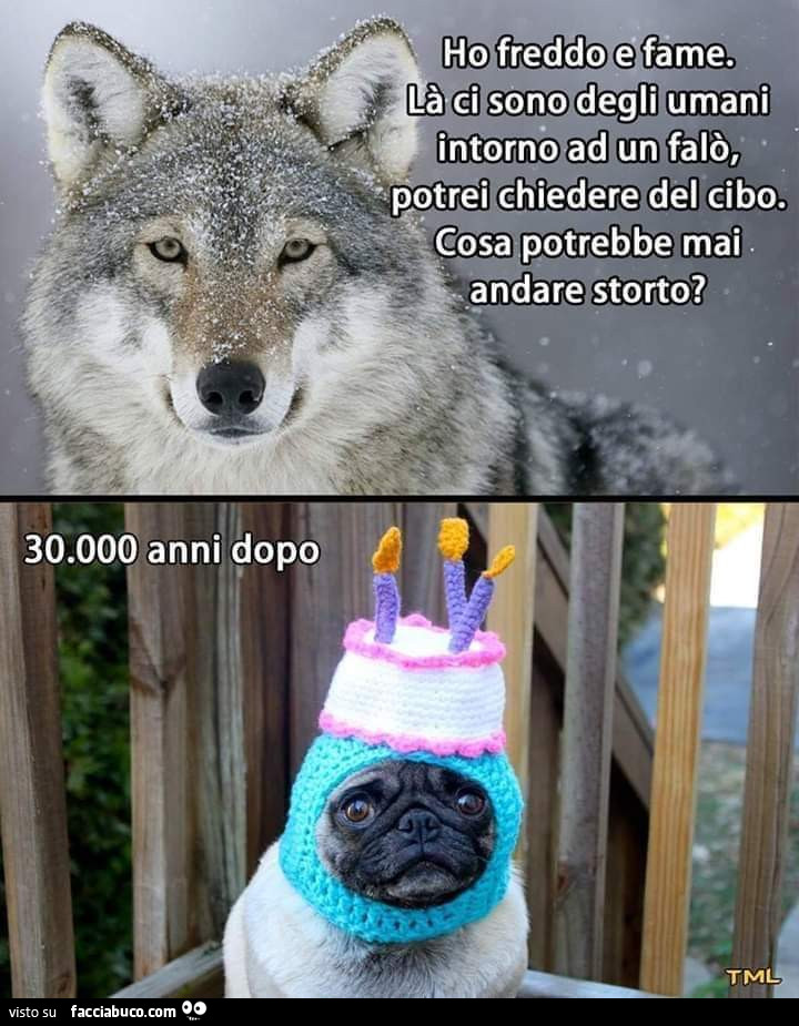 Ho freddo e fame. Là ci sono degli umani intorno ad un falò, potrei chiedere del cibo. Cosa potrebbe mai andare storto? 30.000 anni dopo