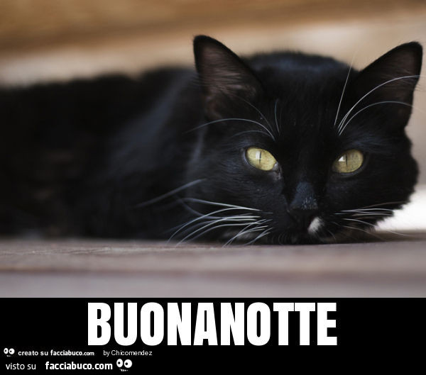 Buonanotte
