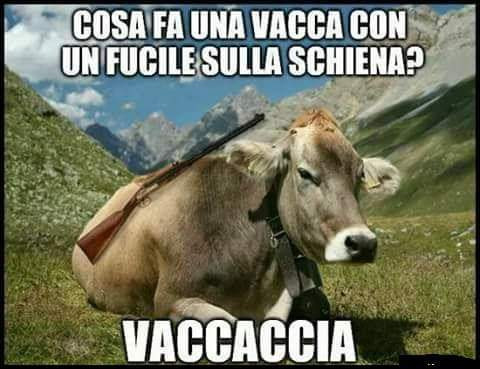 Vaccata