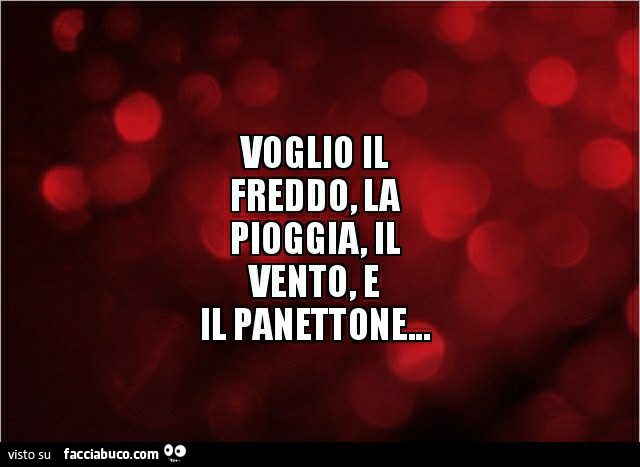 Voglio il freddo, la pioggia, il vento e il panettone