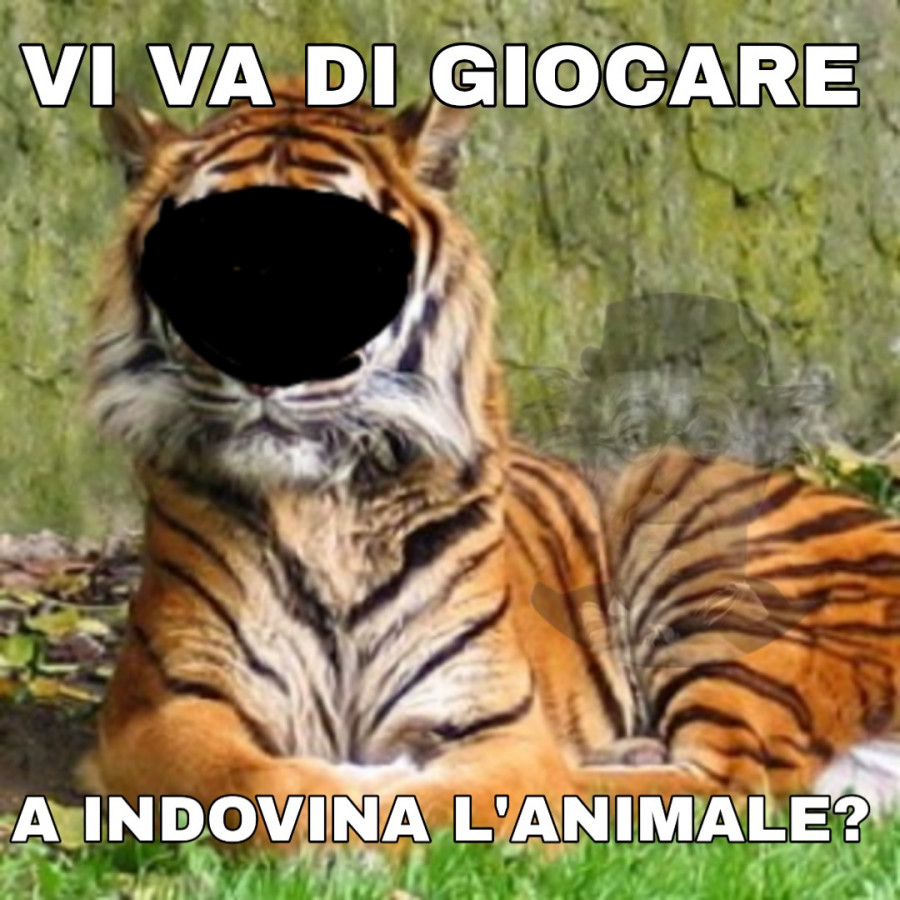 Vi va di giocare a indovina l'animale?