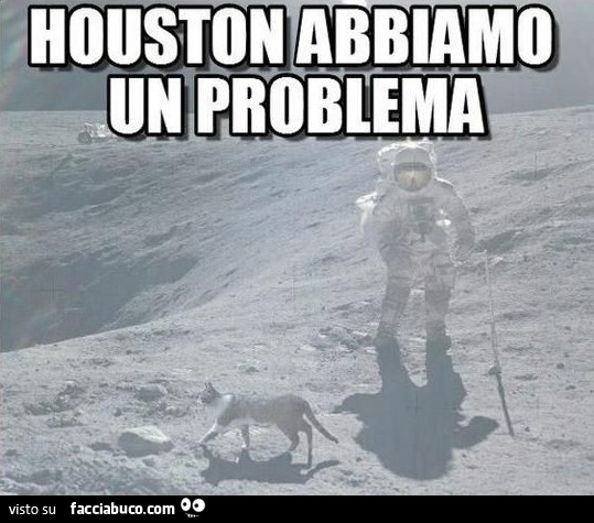 Gatto sulla luna. Houston abbiamo un problema
