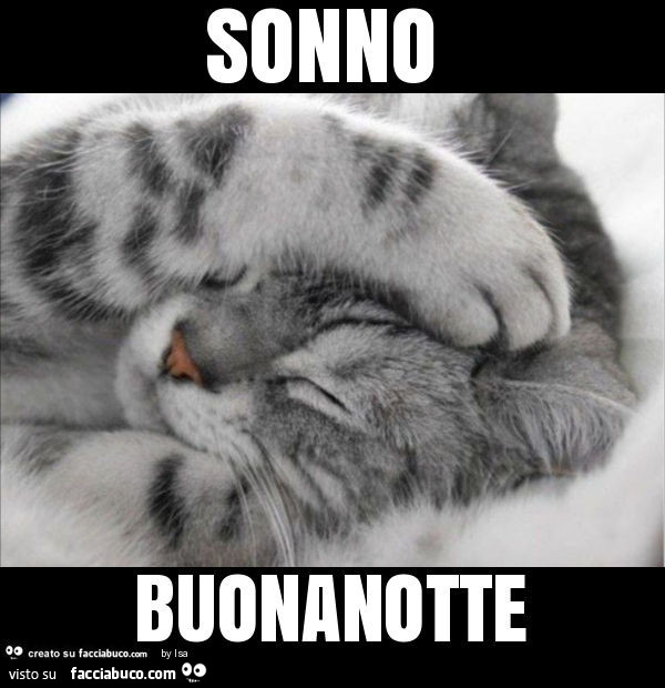 Sonno buonanotte