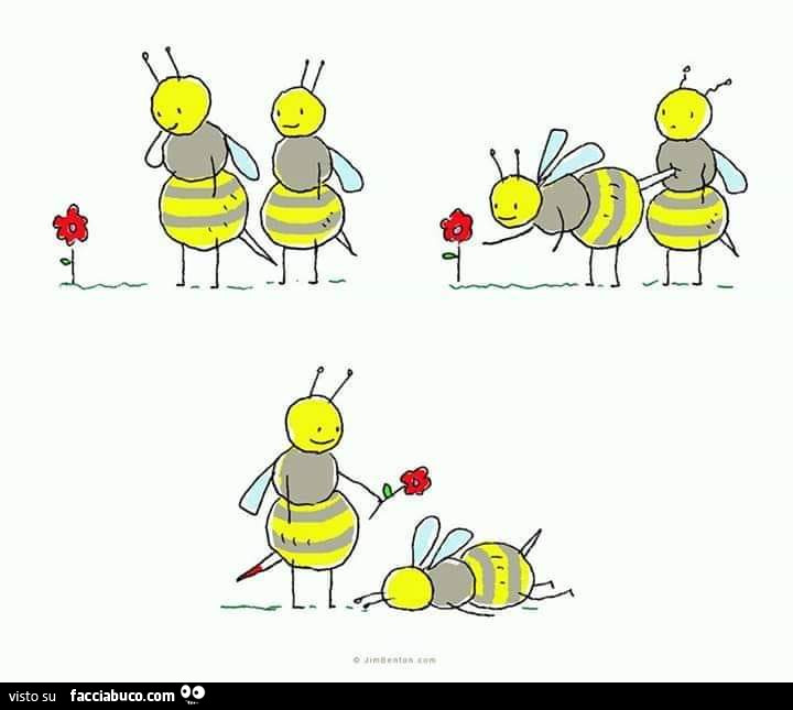 L'ape si china a prendere un fiore. Uccide l'amica