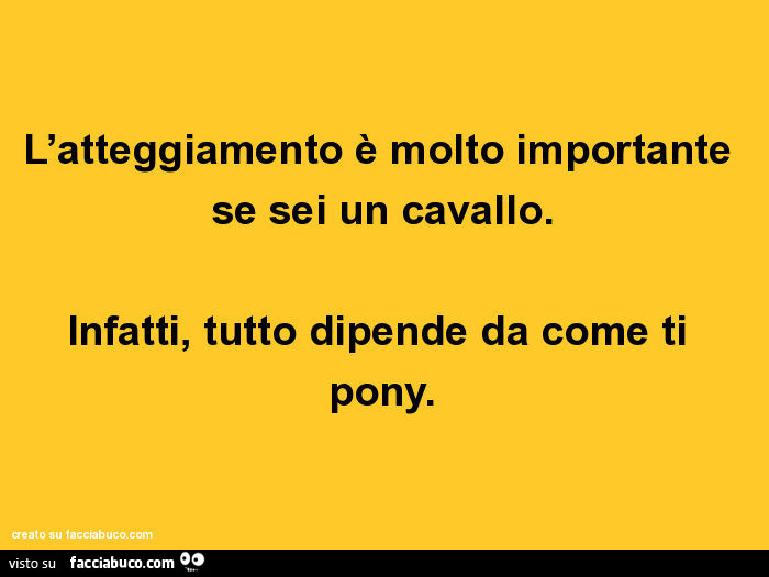 L'atteggiamento è molto importante se sei un cavallo. Infatti, tutto dipende da come ti pony