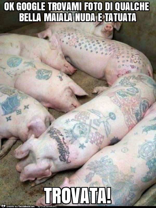 Ok google trovami foto di qualche bella maiala nuda e tatuata trovata