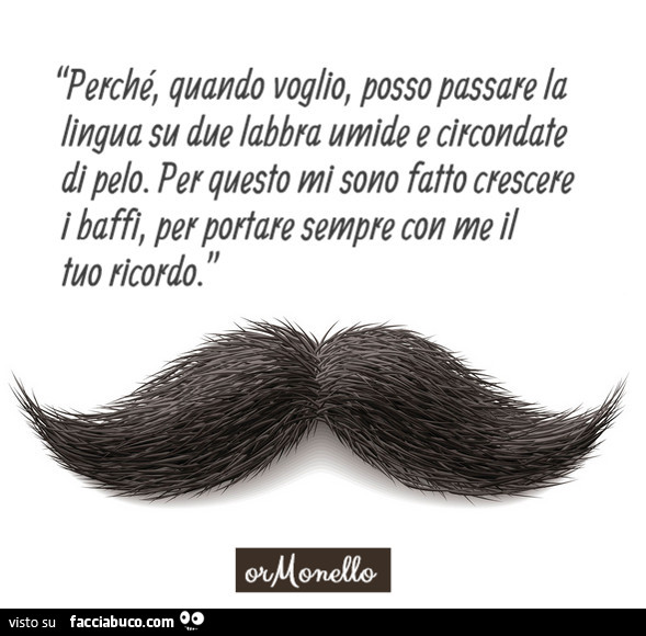 Perchè, quando voglio, posso passare la lingua su due labbra umide e circondate di pelo. Per questo mi sono fatto crescere i baffi, per portare sempre con me il tuo ricordo