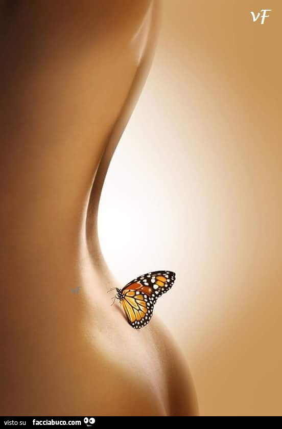 Farfalla sulla schiena