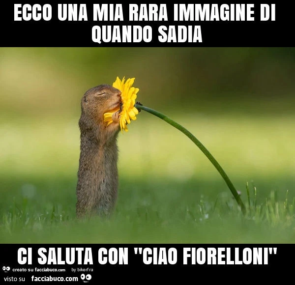 Ecco una mia rara immagine di quando sadia ci saluta con "ciao fiorelloni"