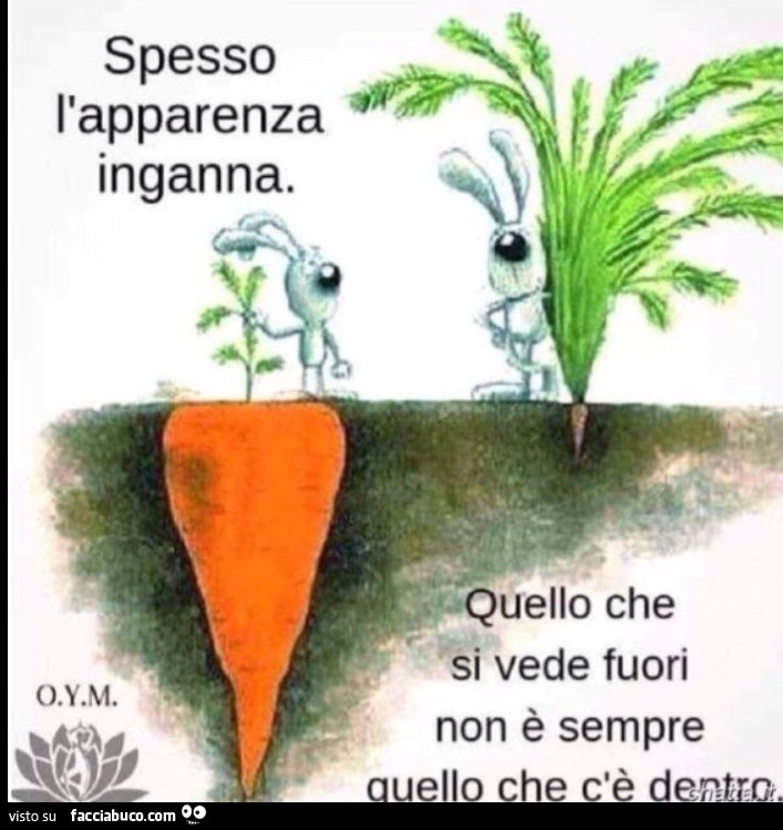 Spesso l'apparenza inganna. Quello che si vede fuori non è sempre quello che c'è dentro