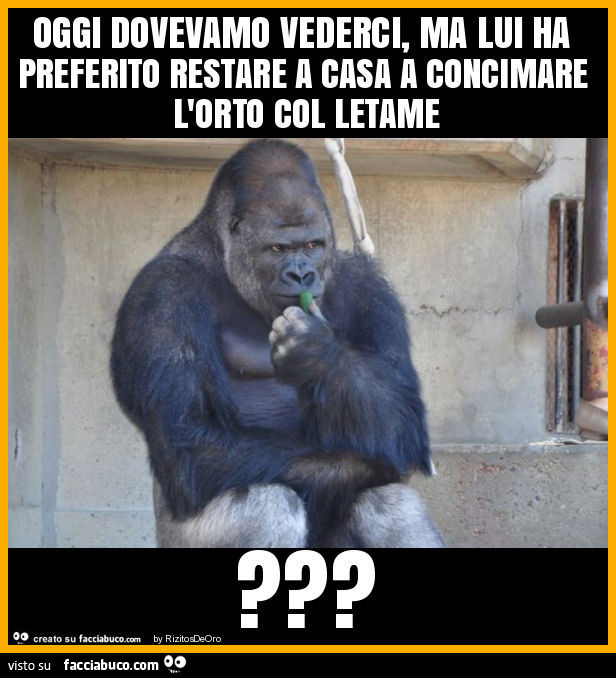 Oggi dovevamo vederci, ma lui ha preferito restare a casa a concimare l'orto col letame?