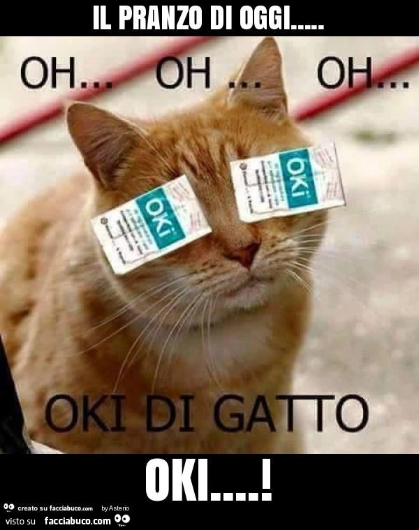 Il pranzo di oggi&hellip; oki