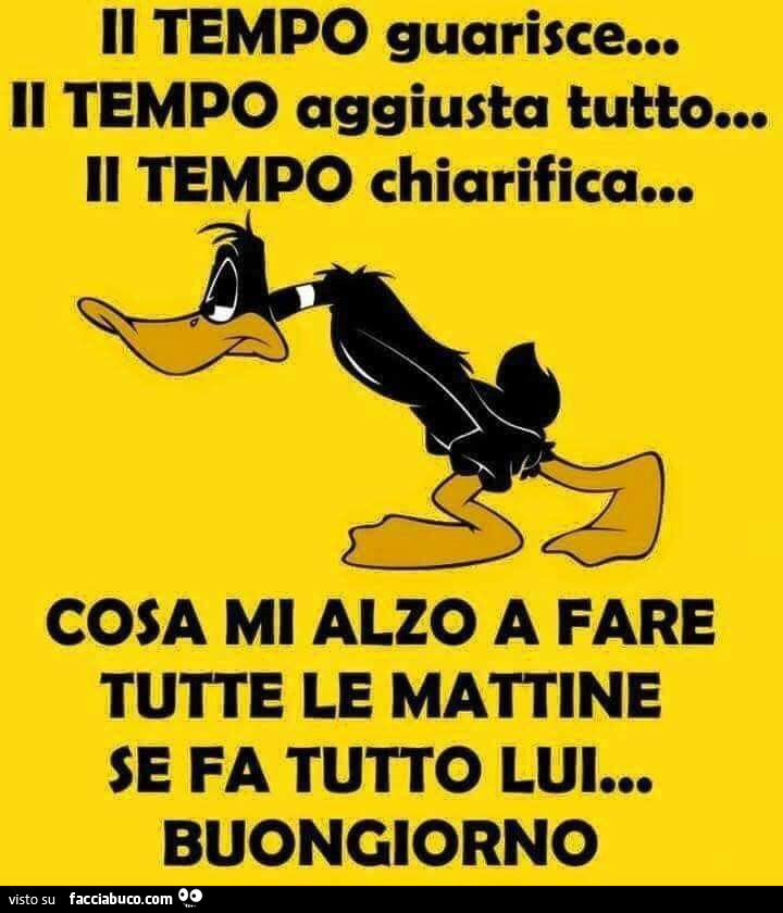 Il tempo guarisce… il tempo aggiusta tutto… il tempo chiarifica… cosa mi alzo a fare tutte le mattine se fa tutto lui… buongiorno