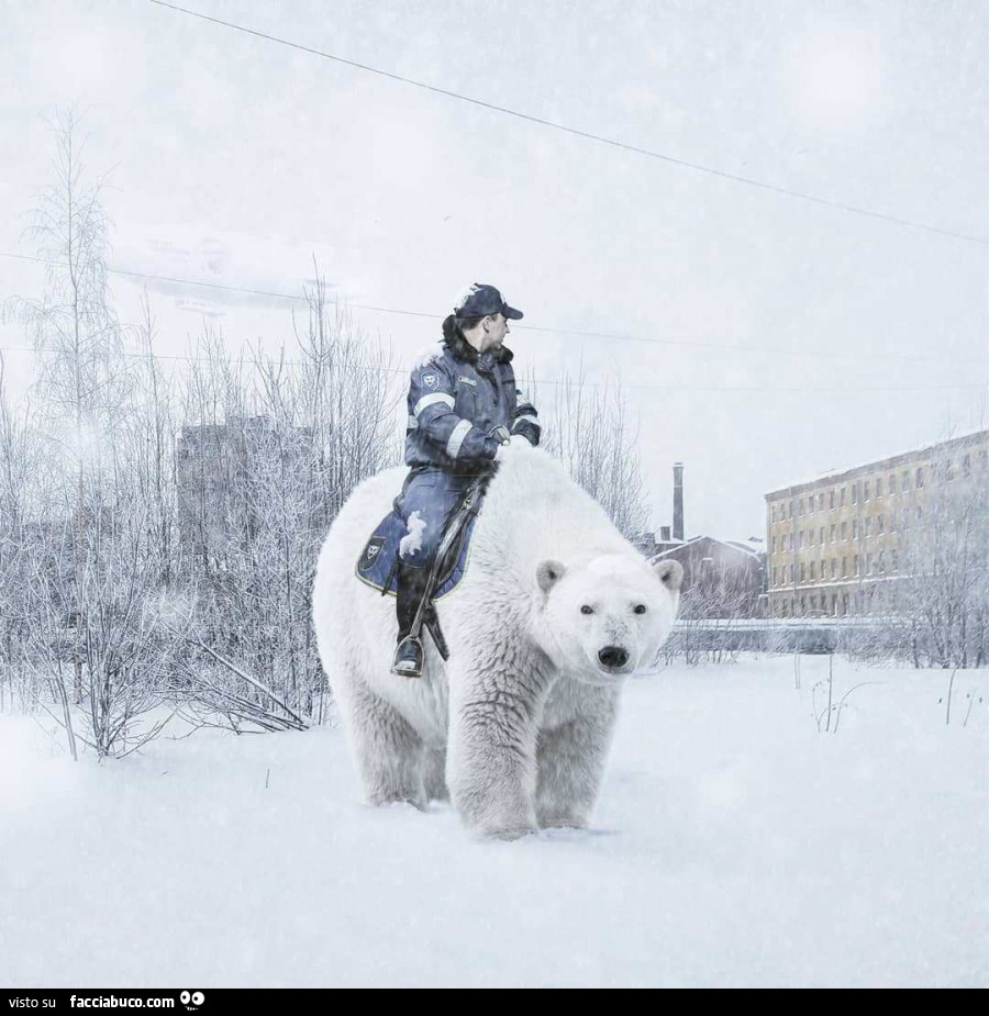 Poliziotto a cavallo di orso polare
