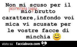 Non mi scuso per il mio brutto carattere, infondo voi mica vi scusate per le vostre facce di minchia