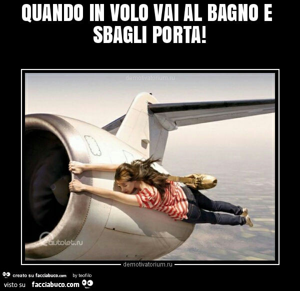 Quando in volo vai al bagno e sbagli porta