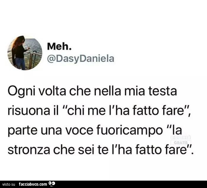 Ogni volta che nella mia testa risuona il chi me l'ha fatto fare, parte una voce fuoricampo la stronza che sei te l'ha fatto fare