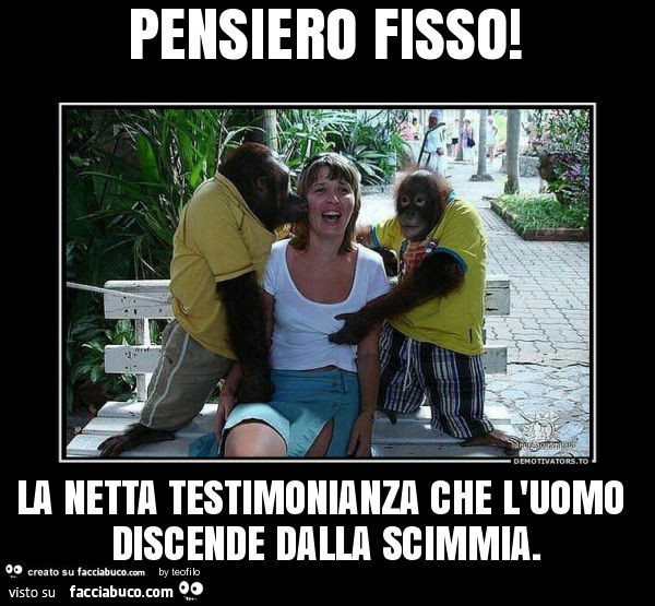 Pensiero Fisso La Netta Testimonianza Che L Uomo Discende Dalla Scimmia Facciabuco Com