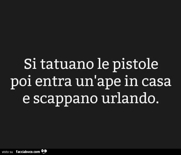 Si tatuano le pistole poi entra un ape in casa e scappano urlando