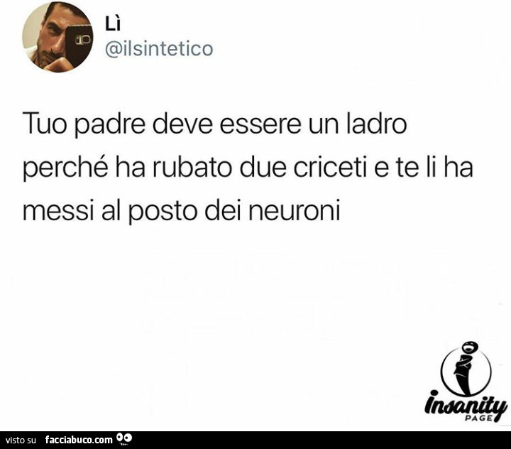 Tuo padre deve essere un ladro perché ha rubato due criceti e te li ha messi al posto dei neuroni