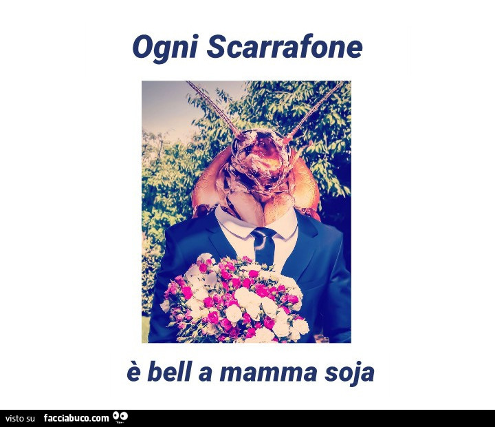 Ogni scarrafone è bell a mamma soja