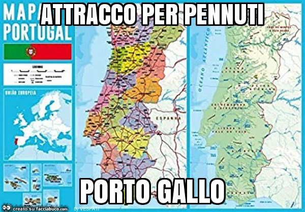 Attracco per pennuti porto gallo