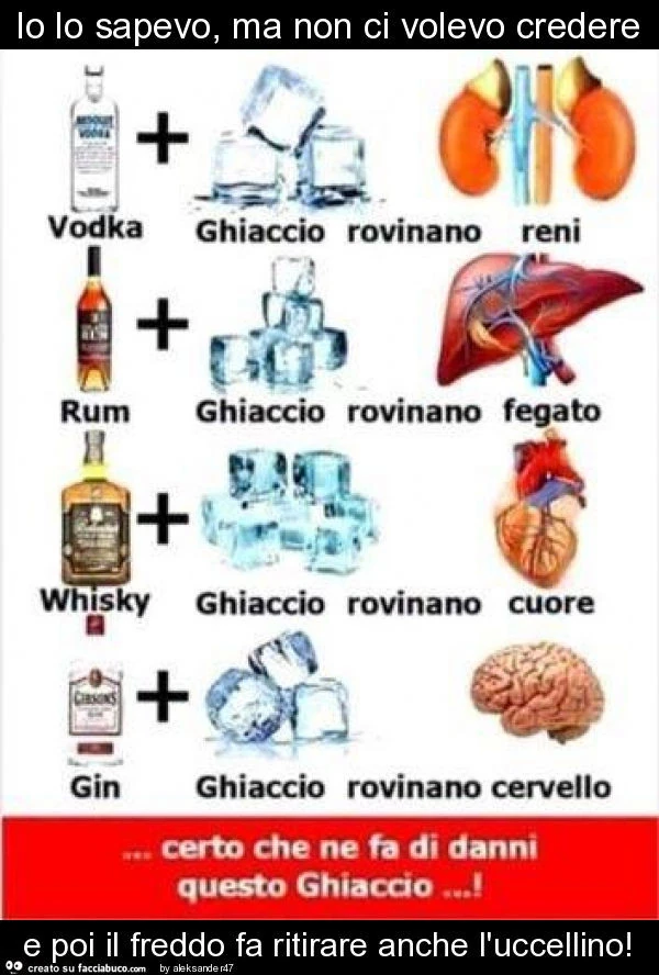 Io lo sapevo, ma non ci volevo credere e poi il freddo fa ritirare anche l'uccellino