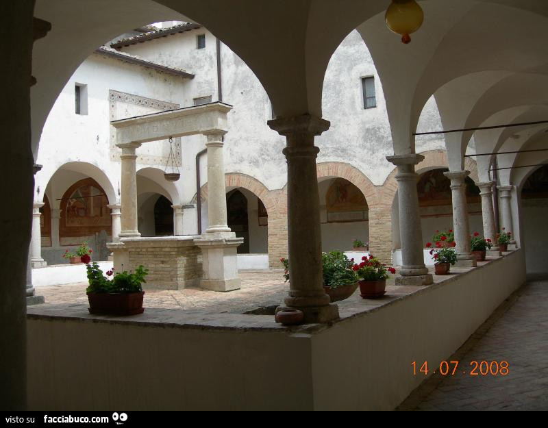Vaccata