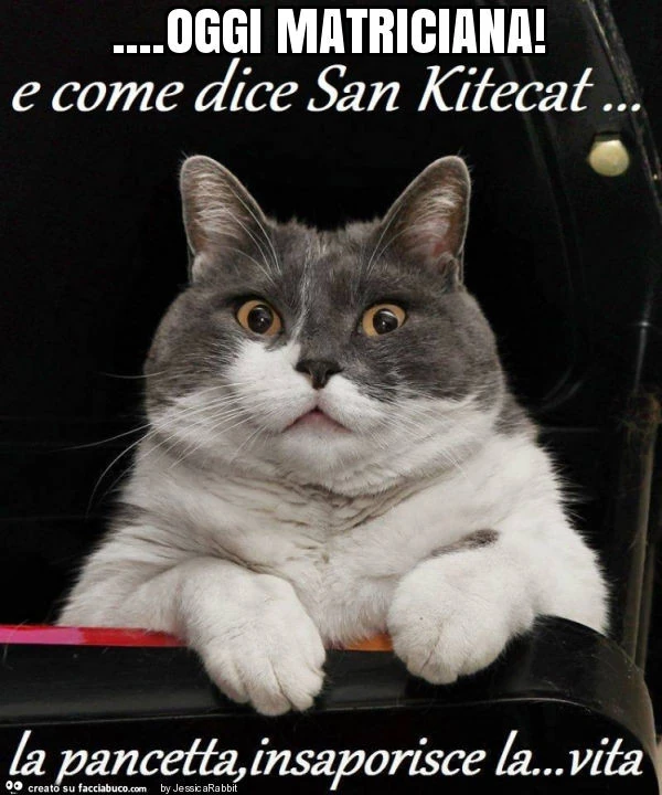 Oggi matriciana