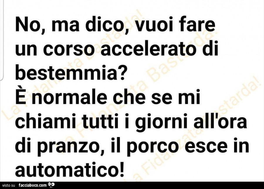 No, ma dico, vuoi fare un corso accelerato di bestemmia? È Normale che se mi chiami tutti i giorni all'ora di pranzo, il porco esce in automatico