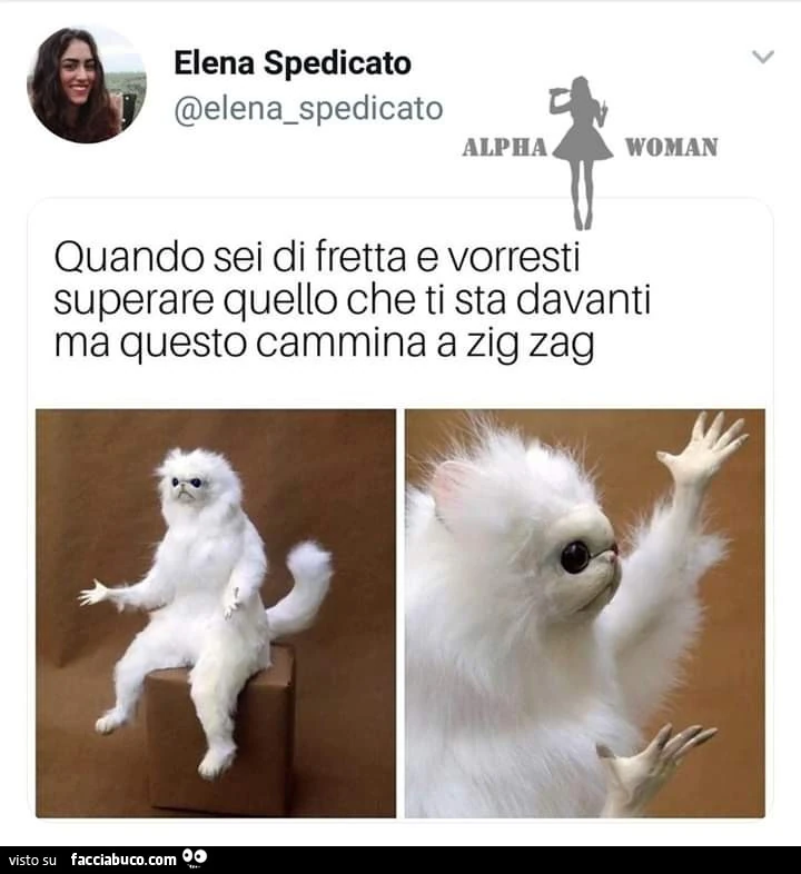 Quando sei di fretta e vorresti superare quello che ti sta davanti ma questo cammina a zig zag