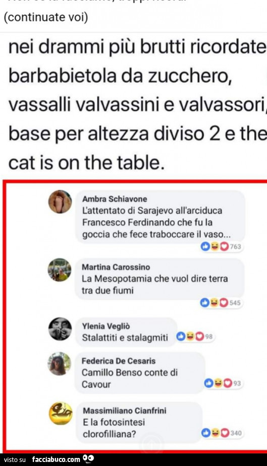Continuate voi) nei drammi più brutti ricordate barbabietola da zucchero, vassalli valvassini e valvassori, base per altezza diviso 2 e the cat is on the table