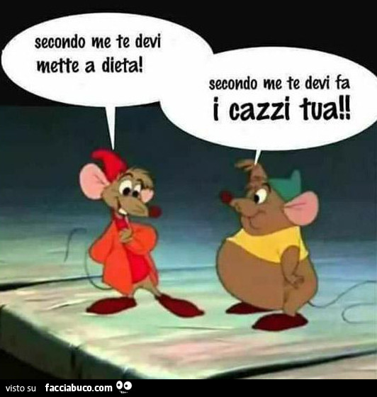 Secondo me te devi mette a dieta! Secondo me te devi fa i cazzi tua