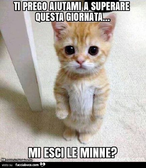 Ti prego aiutami a superare questa giornata… mi esci le minne?