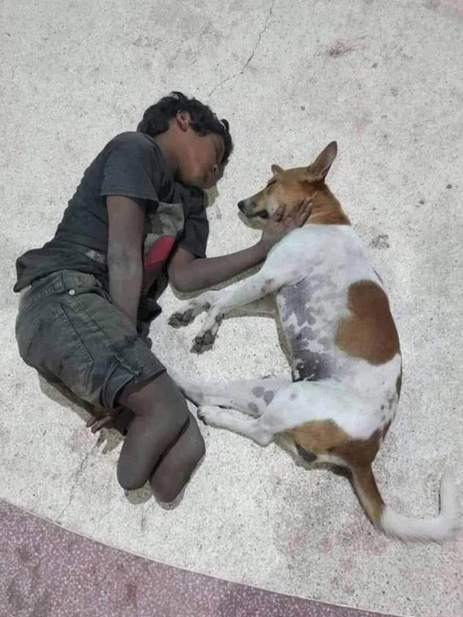 Ai cani non importa se non hai casa, se vivi per strada, o se ti mancano i piedi. Loro non sanno discriminare, ti amano per quello che sei non per quello che hai né per il tuo colore della pelle