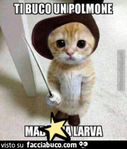 Vaccata