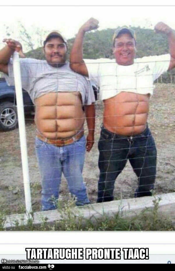 Tartarughe pronte taac