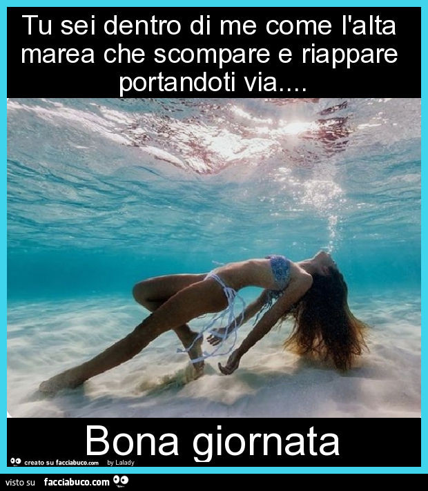 Tu sei dentro di me come l'alta marea che scompare e riappare portandoti via… bona giornata