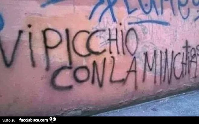 Vi picchio con la minchia