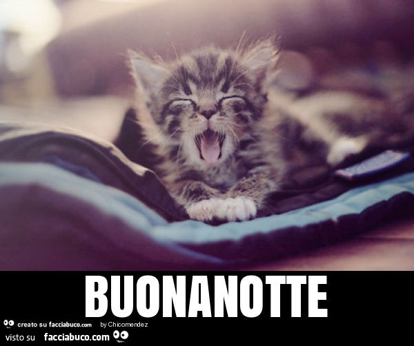 Buonanotte